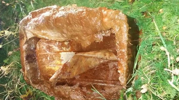 Большой, коричневый, холодный: тайна раскрыта