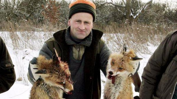 Дикий кабан на охоте убил охотника