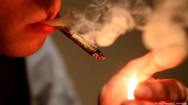 В Германии растет преступность, связанная с наркотиками