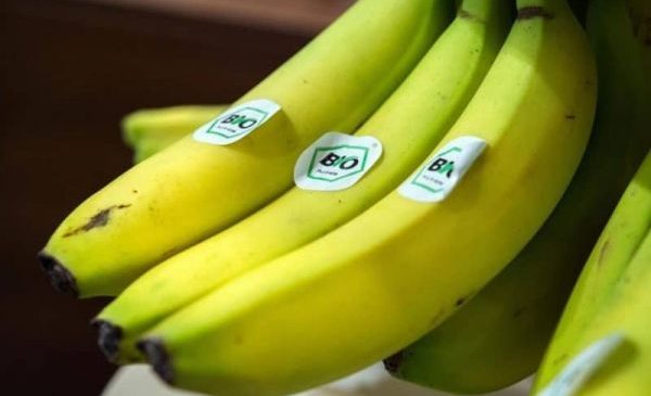 Органические продукты: польза или обман?