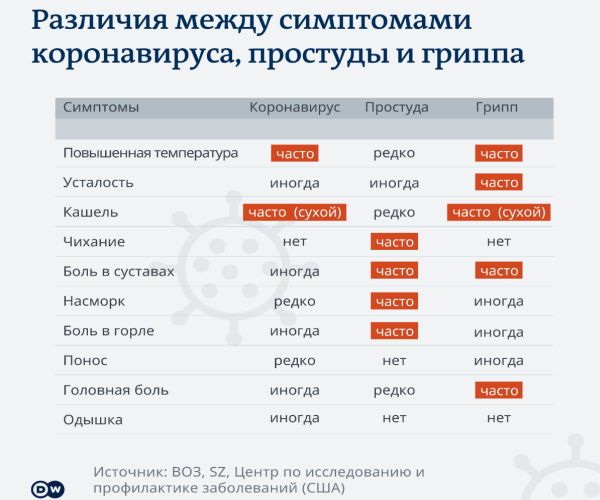 Как отличить коронавирус от гриппа и простуды? Подробное описание симптомов