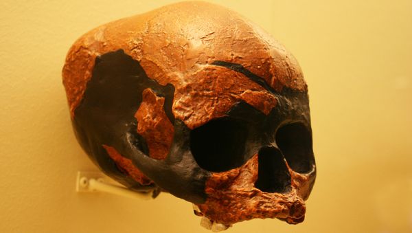 Африканские беженцы оказались старше на 100 тысяч лет