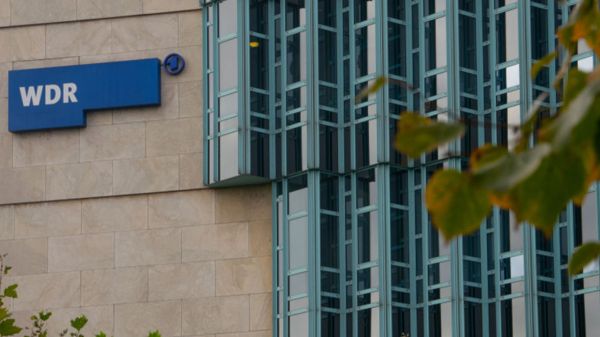 Климатических свинок до каннибализма в защиту окружающей среды