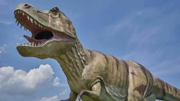 T-Rex шагал со скоростью обычного человека: исследование