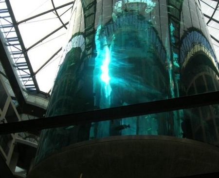 АкваДом (AquaDom Berlin)- аквариум имеет значение…
