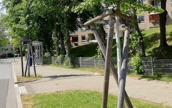 В ЭССЕНЕ ПОЯВИЛОСЬ БОЛЕЕ 600 НОВЫХ ДЕРЕВЬЕВ