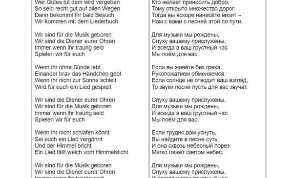 Rammstein на гитаре: Ein Lied | Deutsch Online