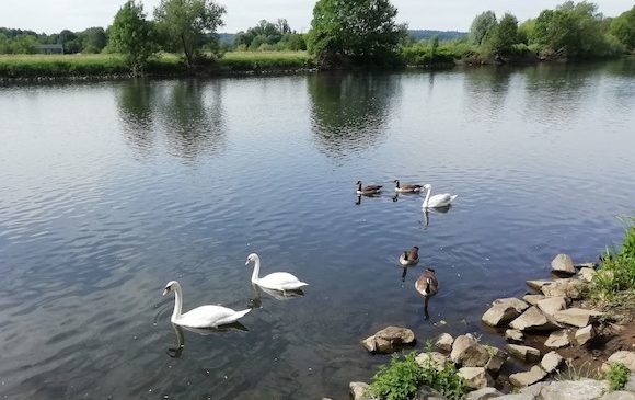 Самые длинные реки NRW