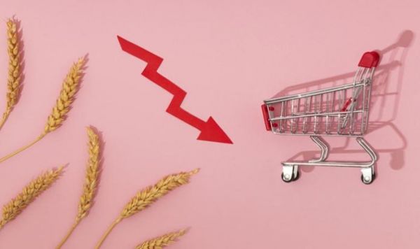 Какие продукты и товары в Германии дешевеют
