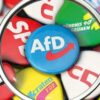 В чем причины «взлёта» AfD?