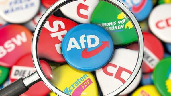 В чем причины «взлёта» AfD?