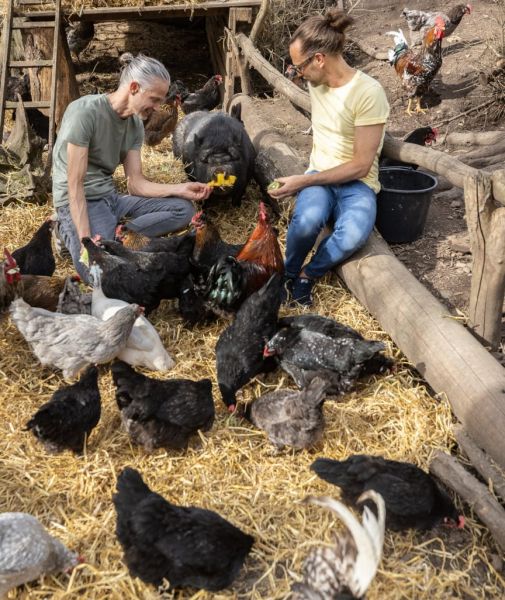 Отличная идея на Пасху: эти курицы несут&nbsp;разноцветные яйца&nbsp;